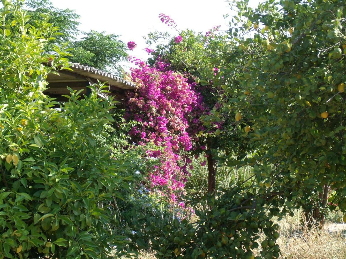 La Finca Blanca Alora Luaran gambar