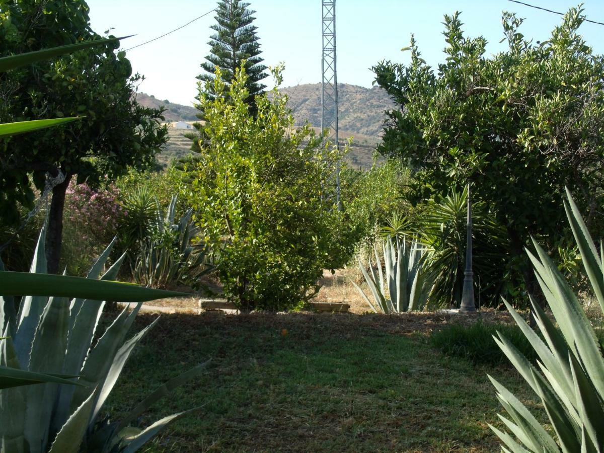 La Finca Blanca Alora Luaran gambar