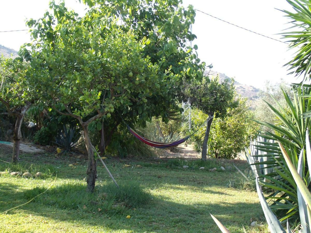La Finca Blanca Alora Luaran gambar